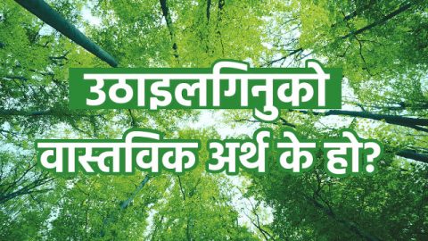 उठाइलगिनुको वास्तविक अर्थ के हो?